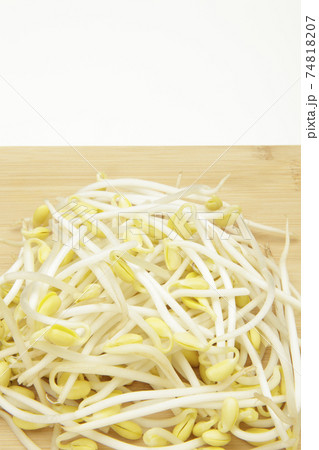 豆もやし 74818207