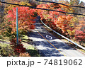 紅葉ロード 74819062