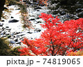 紅葉真っ盛り 74819065