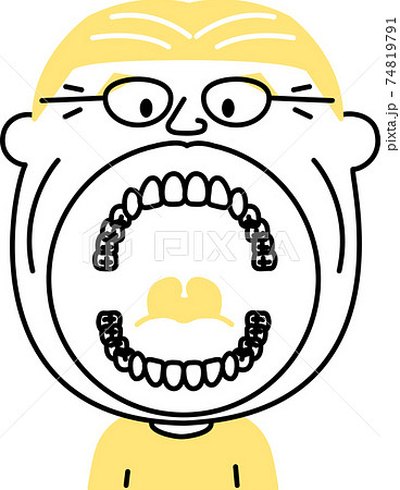 大人 シニア 28本 親知らずなし 歯列 口の中 イラスト ベクターのイラスト素材