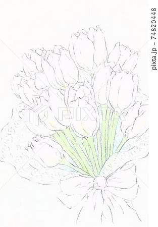 チューリップ 春の花束 チューリップ 春の花束 74820448