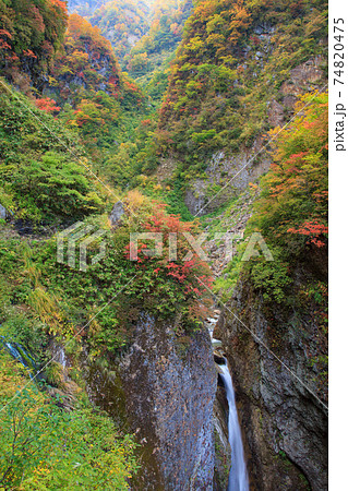 新潟妙高_紅葉の権現滝 新潟妙高_紅葉の権現滝 74820475