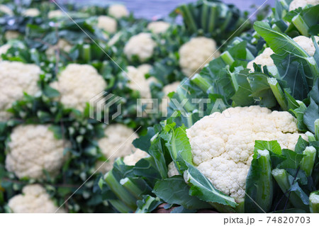 cauliflower stock on boat and market cauliflower stock on boat and market 74820703