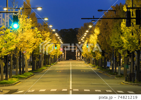 富山市_平和通りの銀杏並木風景 74821219
