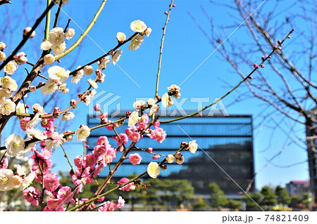 和歌山地方裁判所 和歌山地方裁判所 74821409