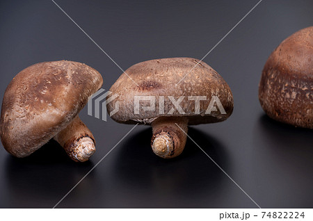 厳選された最高峰の生椎茸「のとてまり」のブツ撮り写真 厳選された最高峰の生椎茸「のとてまり」のブツ撮り写真 74822224