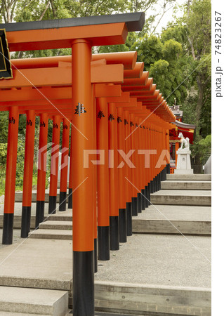 神戸、三宮にある生田稲荷大明神の鳥居 神戸、三宮にある生田稲荷大明神の鳥居 74823267