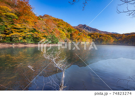 霧の十二湖と世界自然遺産白神山地の美しい風景 霧の十二湖と世界自然遺産白神山地の美しい風景 74823274