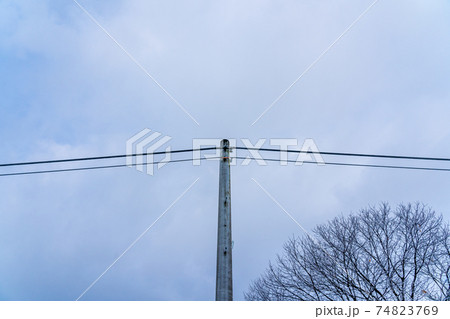 冬の電線 74823769