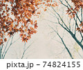 秋の日の紅葉 74824155