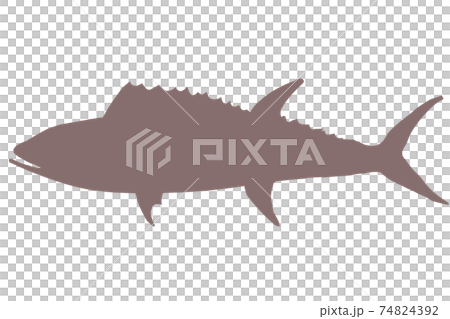 鯖魚剪影 74824392