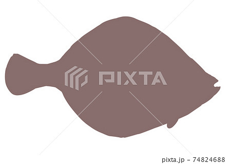 カレイ シルエットのイラスト素材 7446