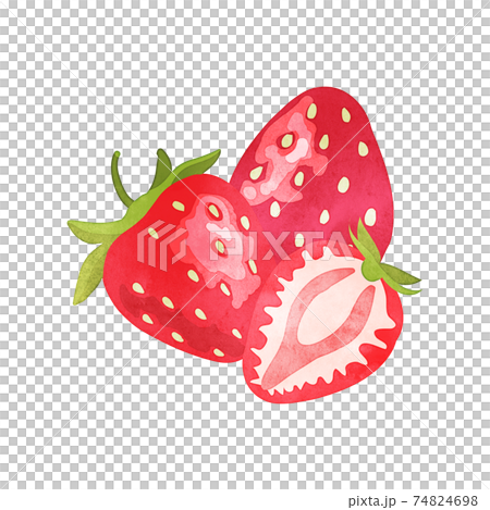 丸ごとと半分に切った完熟イチゴ　水彩風 74824698