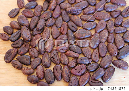 カカオニブホール 74824875