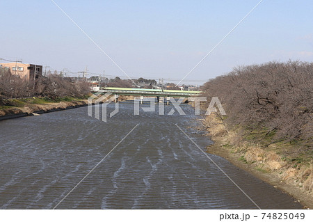 埼玉県の元荒川が冬の強風で波立つ様子 埼玉県の元荒川が冬の強風で波立つ様子 74825049