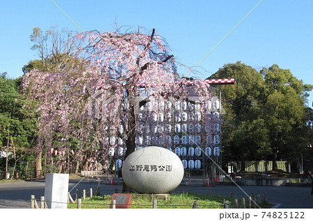 上野公園入口 上野公園入口 74825122