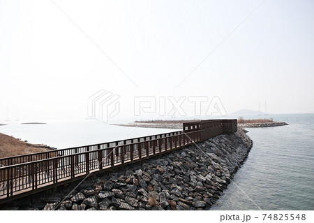 風景 海岸 海 74825548