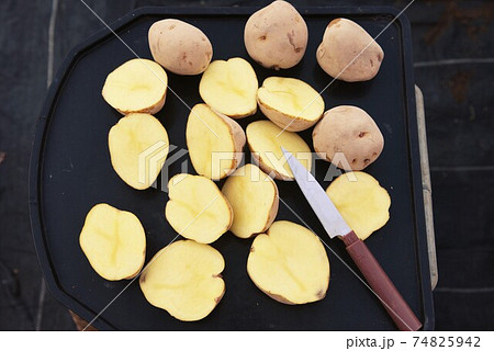 ジャガイモ栽培・植え付け前に切口に草木灰を塗布して腐食防止。 74825942