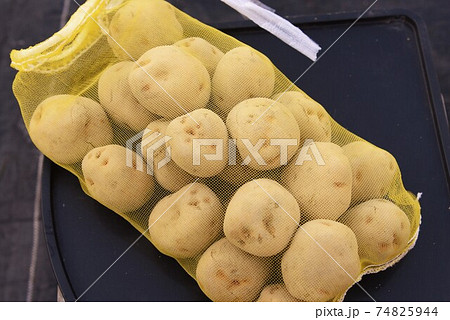 ジャガイモ栽培・植え付け前に切口に草木灰を塗布して腐食防止。 74825944