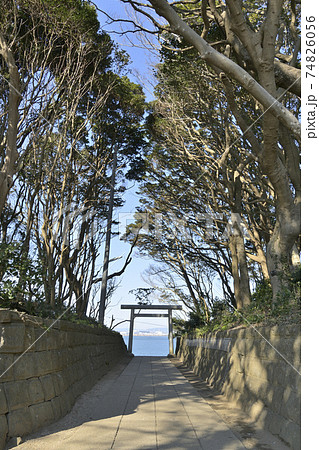 酒列磯前神社の海が見える鳥居 酒列磯前神社の海が見える鳥居 74826056