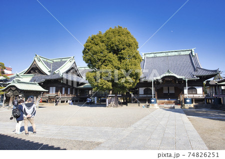 柴又帝釈天　境内 74826251