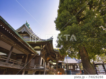 柴又帝釈天　境内 74826266