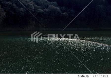 奥多摩湖　留浦付近の水上フェンス 74826403