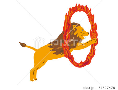燃える輪をくぐるサーカスのライオンのイラスト素材