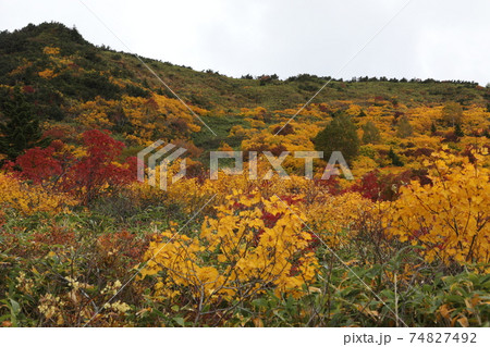 紅葉と山 74827492