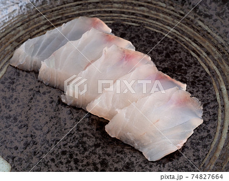 マゴチの刺身 74827664