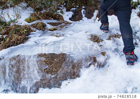 御在所岳登山　中登山道の残雪 74828518
