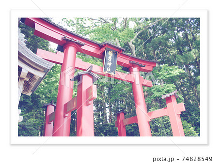 フィルム写真　弥彦神社 74828549