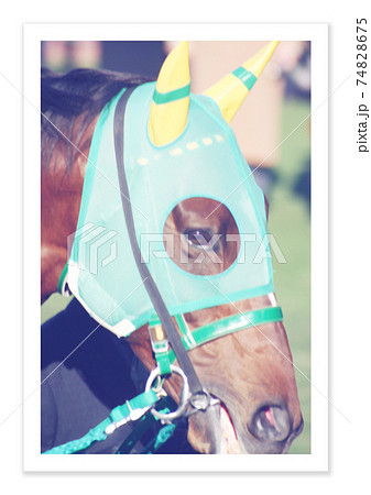 フィルム写真 競走馬 フィルム写真 競走馬 74828675