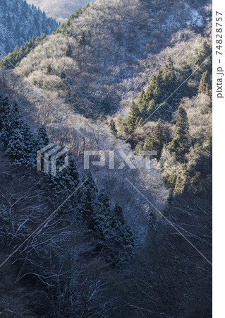 奥多摩の谷間 冬景色 1月の写真素材