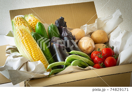 夏野菜いろいろ　契約農家から届いた宅配野菜　収穫した夏野菜 74829171