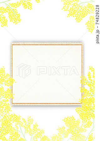 ミモザの花の白背景 メッセージカードのイラスト素材