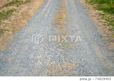 ダート・未舗装路　田舎の道路 74829403