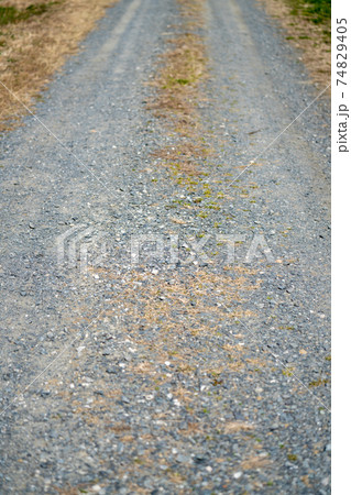 ダート 未舗装路 田舎の道路の写真素材