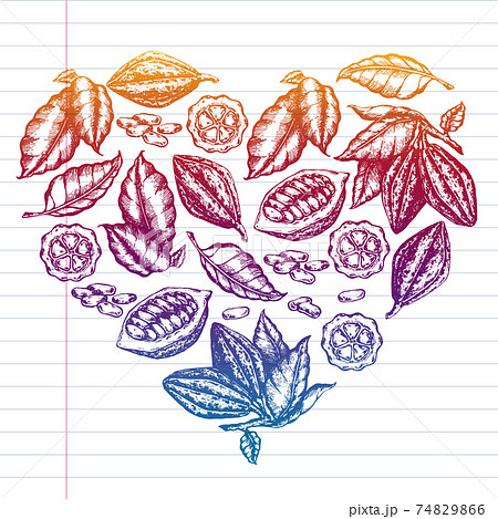 Colorful cocoa beans illustration on white background. Engraved style illustration. Chocolate cocoa beans. Vector pattern illustration Colorful cocoa beans illustration on white background. Engraved style illustration. Chocolate cocoa beans. Vector pattern illustration 74829866