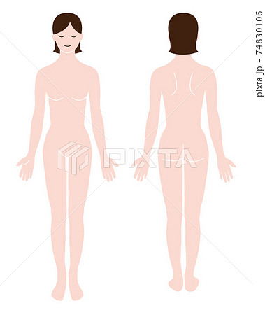 女性の全身 前と後ろ姿 女性の全身 前と後ろ姿 74830106