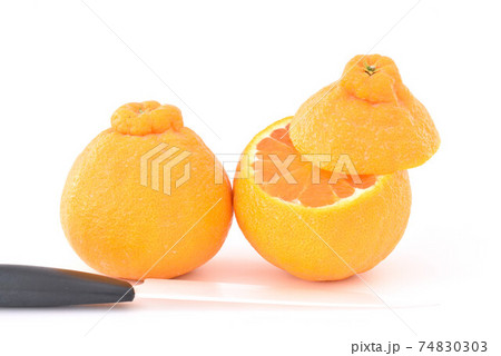Citrusfruit Citrusfruit 74830303