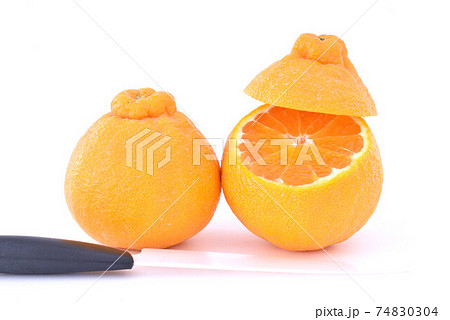 Citrusfruit　 74830304