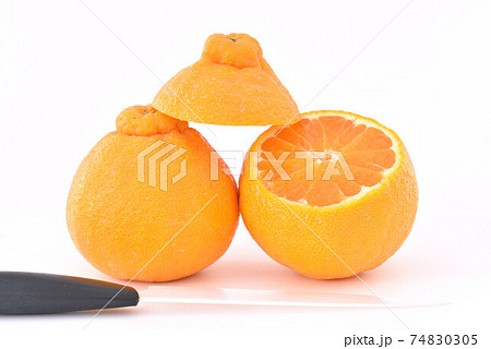 Citrusfruit　 74830305