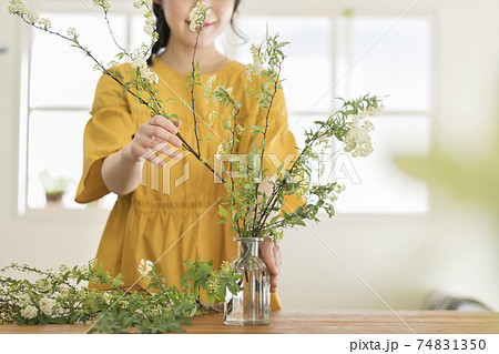 花を生ける若い女性の手元 花を生ける若い女性の手元 74831350