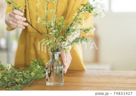 コデマリをいける若い女性の手元 74831427