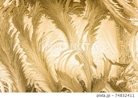 極寒の芸術、窓ガラスの霜模様 74832411