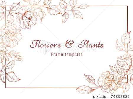 薔薇の花のフレームイラストのイラスト素材 7425