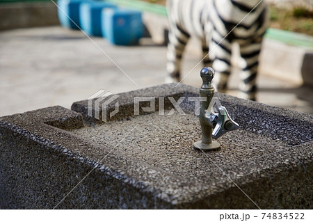 水飲み場　公園 74834522