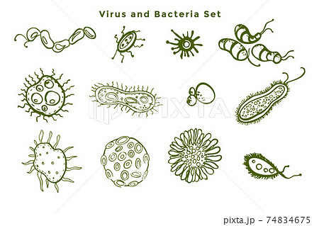set of microscopic bacteria and virus germs 74834675