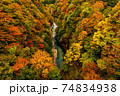 紅葉の渓谷⑬／小安峡・秋田県 74834938